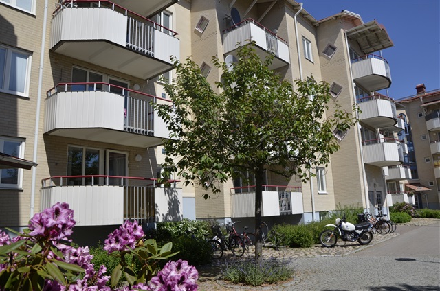 perfekt ledsagare rött hår nära Jönköping perfekt ledsagare rött hår nära Jönköping